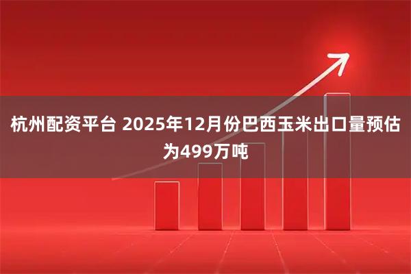 杭州配资平台 2025年12月份巴西玉米出口量预估为499万吨